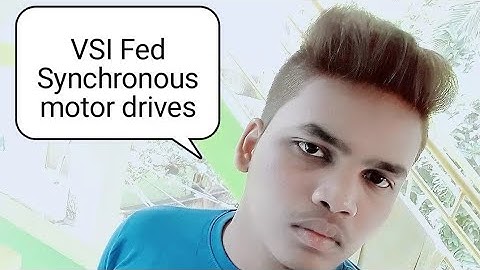 Voltage Source Inverter (VSI) Fed Synchronous Motor Drives(Power Semiconductor Drives)