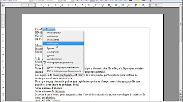 Comment activer le correcteur d'orthographe sur Open Office ?