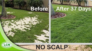 How To Fix Lumpy Lawn