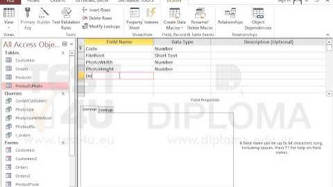 Insert a new field using the name Description, in Long Text data type, just above the FileRoot...
