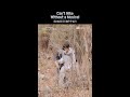 Can't Hike Without a Musical