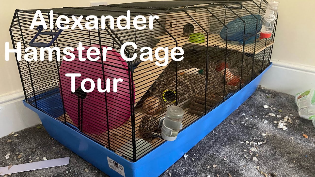 alexander hamster cage