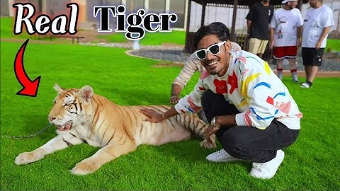 Crazy xyz || crazy xyz new videos @MR. INDIAN HACKER@Crazy xyz @Experiment King   #crazyxyz