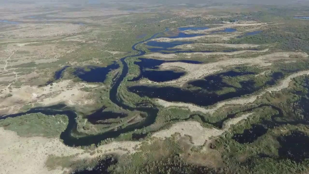 Река нива рыбалка