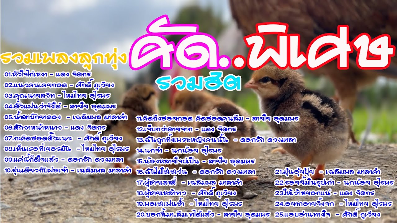 รวมเพลงลูกทุ่งคัดพิเศษเพลงเพราะ