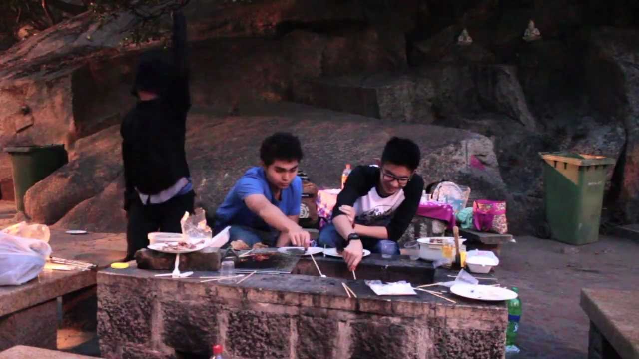 Harlem Shake (BBQ version)