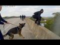 When Troopers UNLEASH the MOST AGGRESSIVE K9 You'll EVER See!