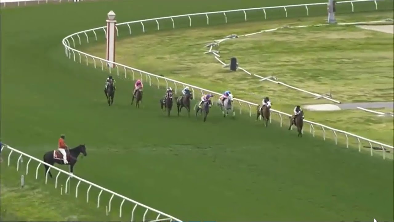 Выставочный центр R6, 17 февраля 2026 г.