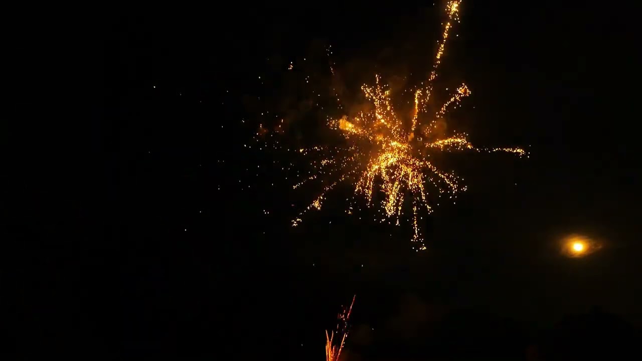 Fiesta La sinfonia colores batch 25      SF N1610055