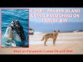 K&#39;gari / Fraser Island and Whale Watching on Hervey Bay with Panasonic Lumix GH6 and G9