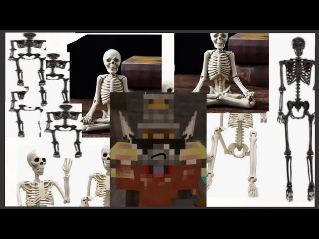 【未使用】skeletons EP Minecraft Episode 2 part 2 (WHY ARE THERE SO MANY SKELETONS
