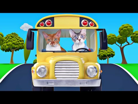 Funny Cats Ride The School Bus