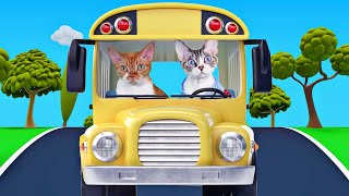 Funny Cats Ride The School Bus by The Rockstar Cats 513 views 1 year ago 1 minute, 7 seconds