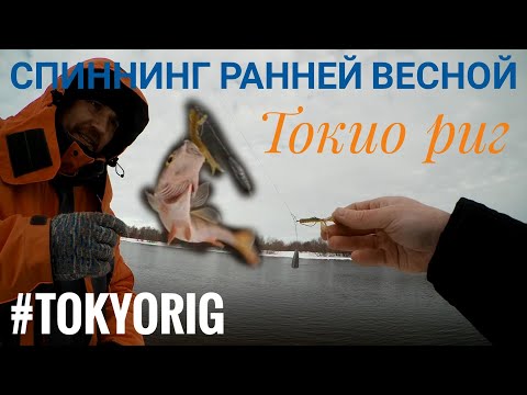 Спиннинг ранней весной. Токио риг. Tokyo rig.