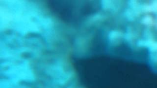 20101206ずーらしあ2