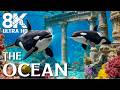 Marvel At Sea Animals In Stunning 8K ULTRA HD Aquarium Dive Into The Mesmerizing Underwater Realm