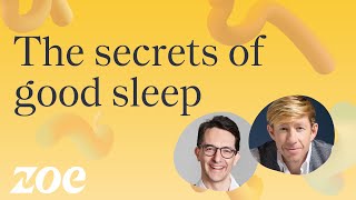 The secrets of good sleep | Professor Matt Walker