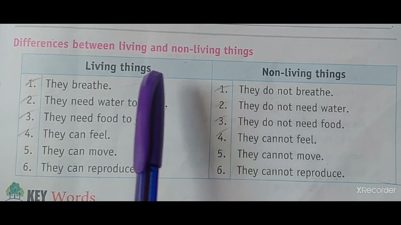 Living Things, Non Living Things, Difference Between living and non ...