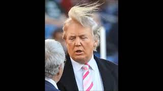 Look At The Top Of His Head Meme