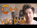 VECTOR/DYNAMIC ARRAY -  Making DATA STRUCTURES in C++