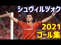 シュヴィルツォク　名古屋グランパス　2021年ゴール集　全12ゴール　Jリーグ・ルヴァンカップ・天皇杯・ACL