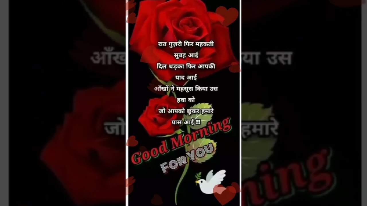 Good Morning Status||Whatsapp Good Morning Status 