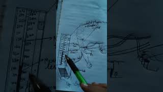 zoology important diagram BSc  vbspu class 12 NCERT nep #biology #science #lifeisbutadream #biology