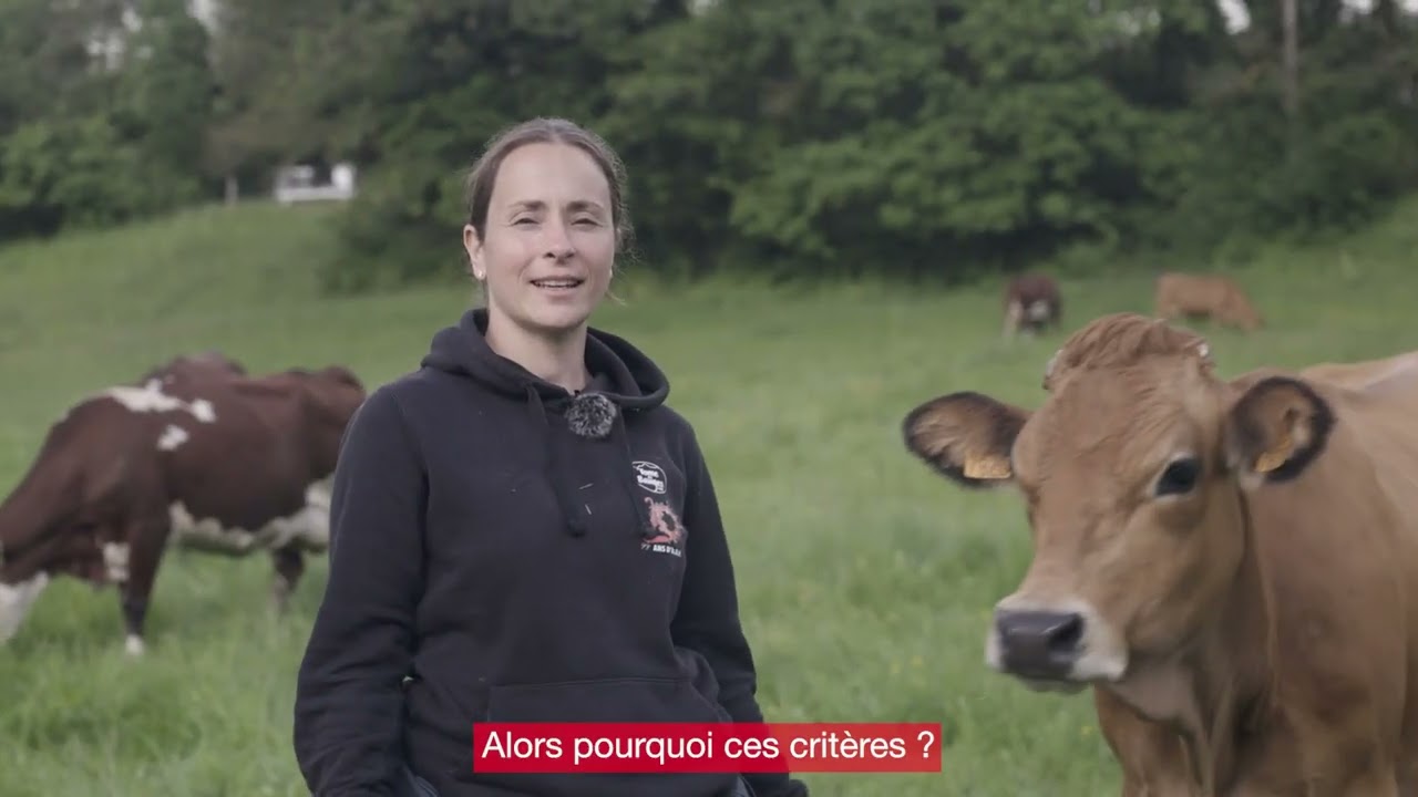 La Tome des Bauges préserve les races locales