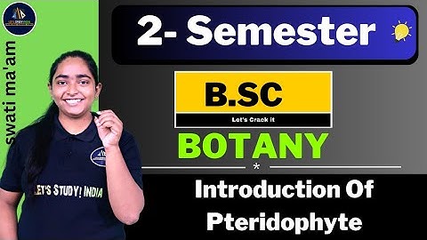 Introduction Of Pteridophyte | Part - 1 | B.Sc. Botany 2nd Semester | Swati Ma