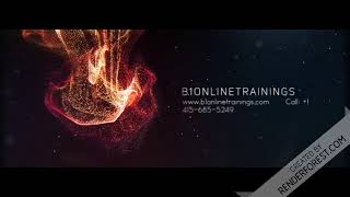b1ONLINETRAININGS: Online trainings / tech support screenshot 4