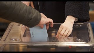 Droit de vote des étrangers : que dit la loi dans les autres pays ?