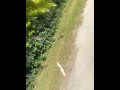 Scooter went flat 😭