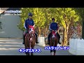 【現地映像】フランス遠征中のキングエルメス・バスラットレオンの様子|モーリスドゲスト賞・ジャックルマロワ賞出走予定
