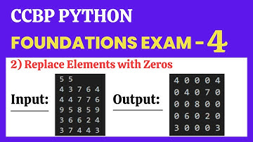 Replace Elements with Zeros | Foundations Exam - 4 | Python | CCBP 4.0