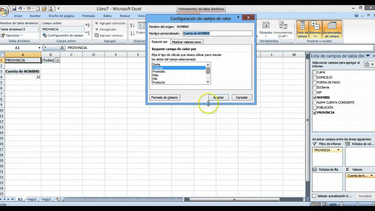 Práctica R3 Excel Grado Superior (Tabla y gráfico dinámicos) digital marketing