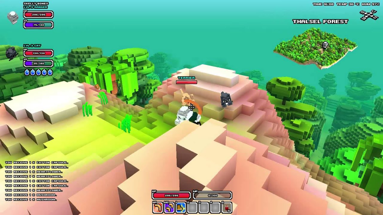 Lets Play Cubeworld with Erik - Cat's Battle Face