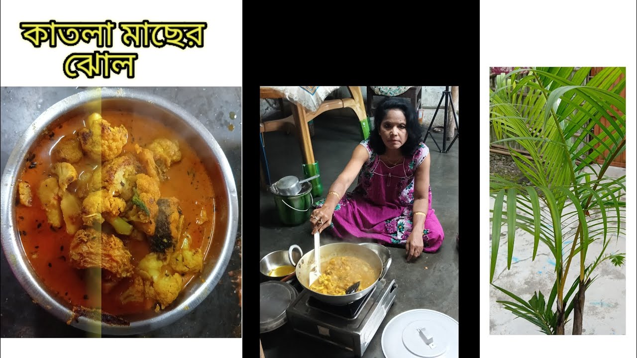 শীতের ফুলকপি আলু দিয়ে কাতলা মাছের ঝোল এইভাবে বানিয়ে দেখুন।Katla macher jhol recipe Bangla 