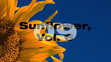 우리의 추억 속 해바라기: Harry Styles - Sunflower, Vol. 6 (2019) [Fine Line 앨범해석 - Track 09]
