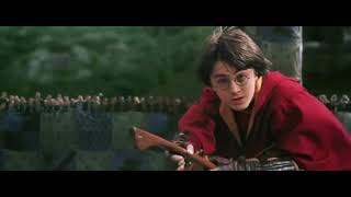 Harry Potter and the chamber of secrets(2002)-there is no bones leaft