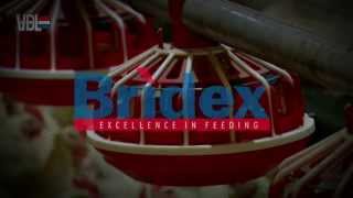 VDL Agrotech - Bridex - English