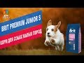 BritPremiumJunior S корм для собак малых пород| Обзор BritPremiumJunior S корм для собак малых пород