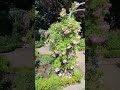 🌈relaxation with nature in 2024🌈#music #nastya