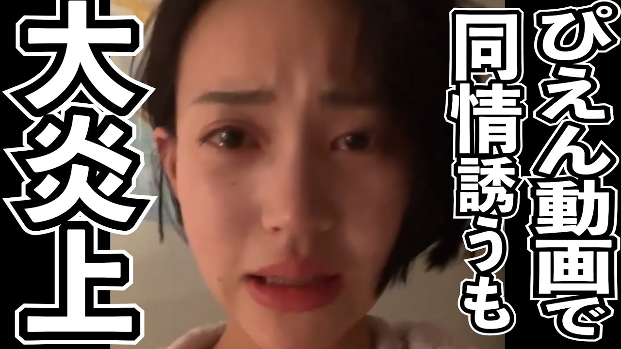 彼女の嘘を解説!国民民主党の判断は正しかった。高橋まりの涙は偽りの涙