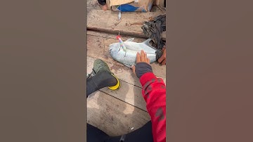 Paradise minion narik ikan GT. #mancing #trending