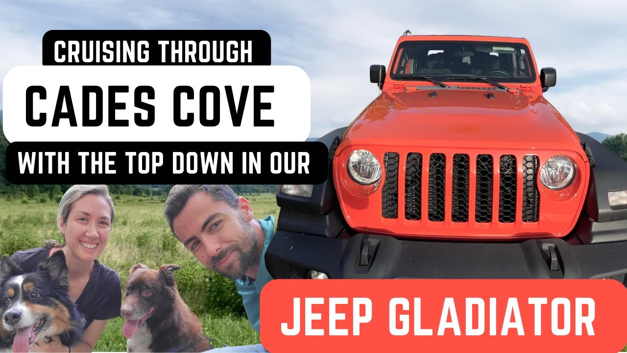 Driving through Cades Cove Bear Sighting in the Smokey Mountains