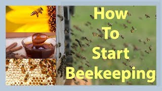 Beekeeping How To Stąrt Beekeeping In 2022
