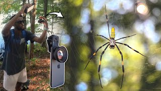 Apexal 100mm Ultra Smartphone Macro Lens Review