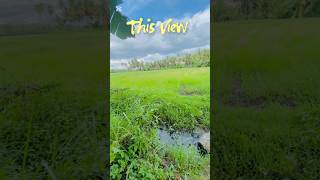 Family trip 🌷🌸🧿🍓||#trip #srilanka #youtubeshorts #sinhalasongs #shortvideo #minivlog #yt #viral