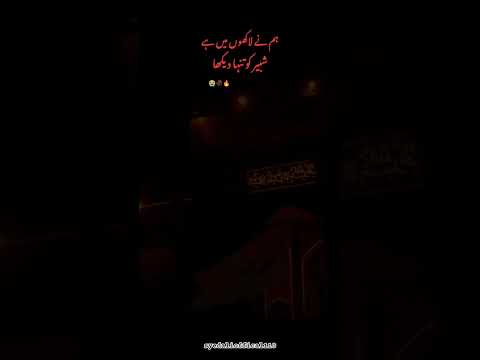 شبیر کو تنہا دیکھا😭💔#karbala #yaalimadad #yahussain #shia  #bibizainab #abbasalamdar #shorts by Azadari 313