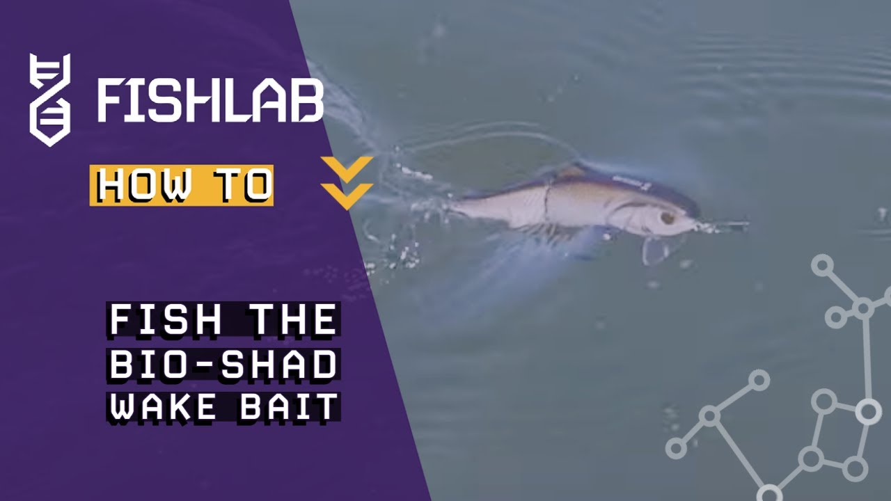 FishLab How To | Fishing the Bio-Shad Wake Bait